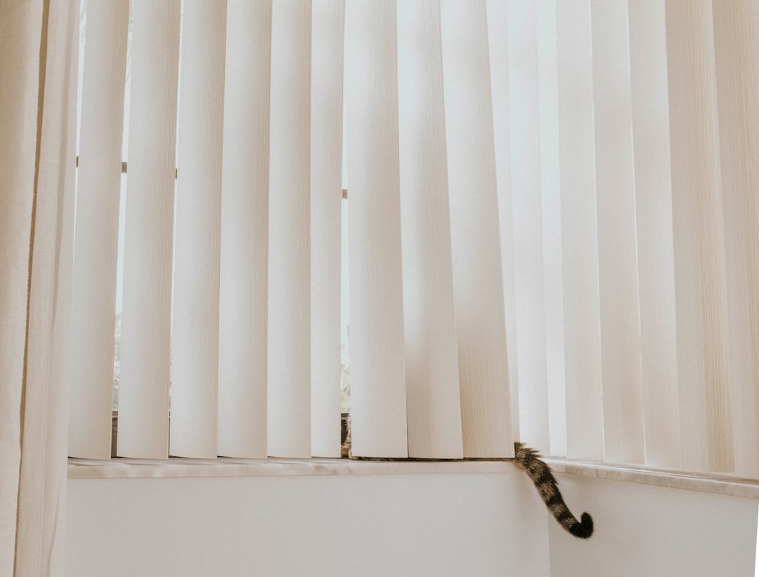 a-cat-sitting-on-a-window-sill-next-to-a-curtain-eidwy263-qo
